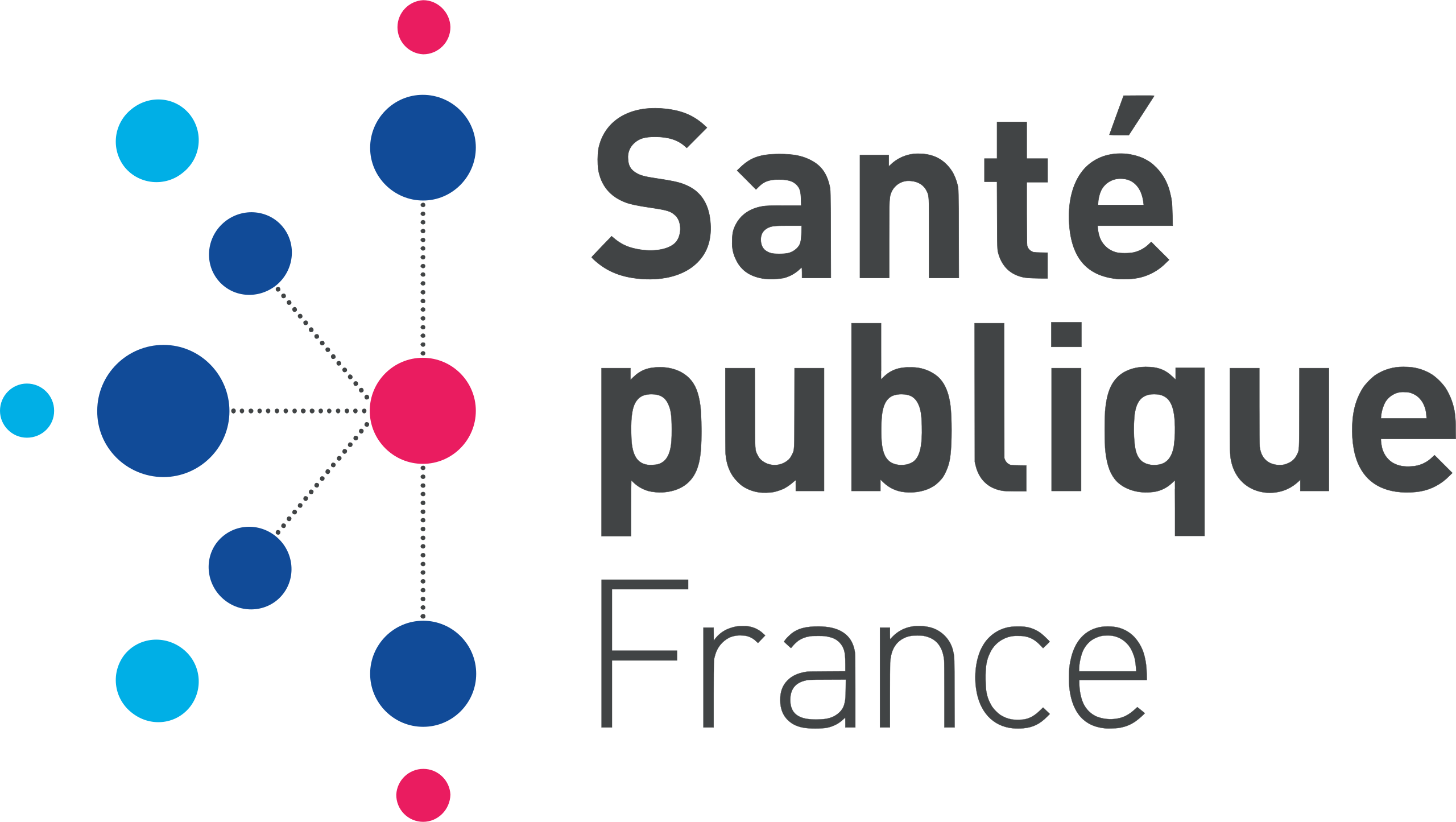 Public Health France